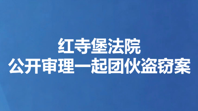 红寺堡法院公开审理一起团伙盗窃案