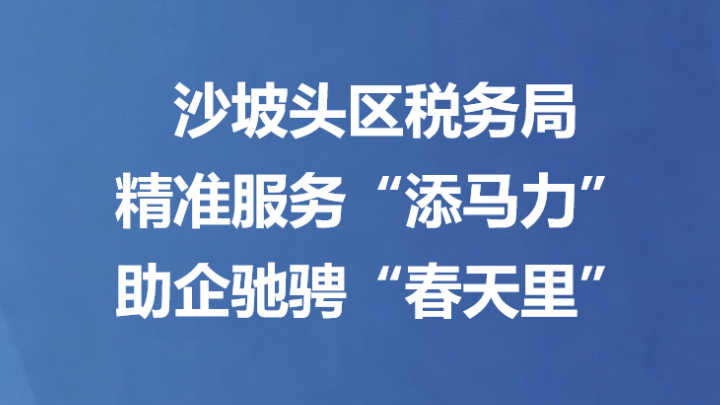 沙坡头区税务局精准服务“添马力” 助企驰骋“春天里”