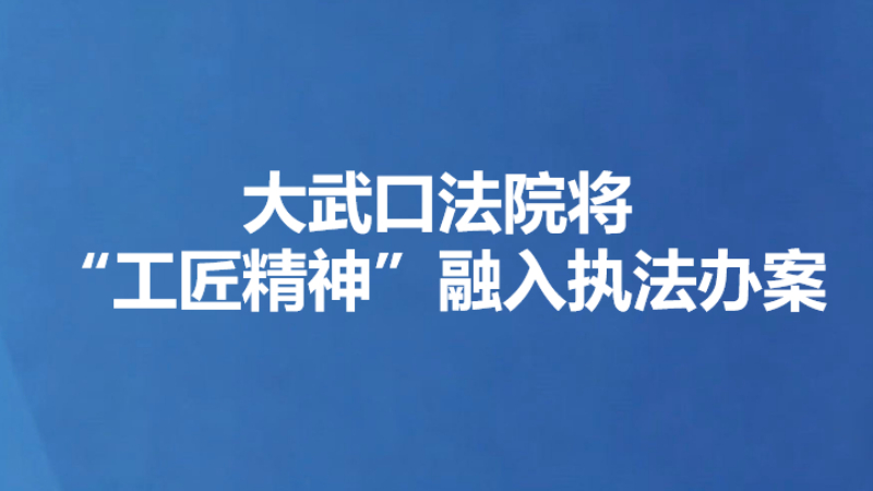 大武口法院将“工匠精神”融入执法办案