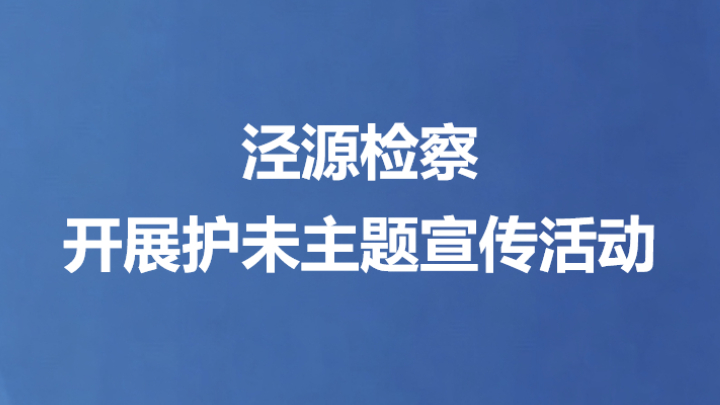 泾源检察开展护未主题宣传活动