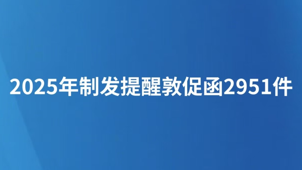 2025年制发提醒敦促函2951件