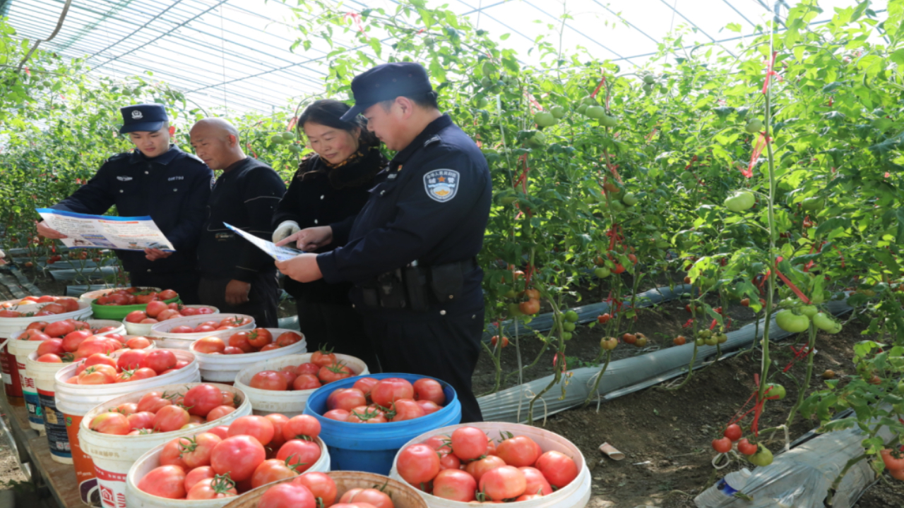 民警深入大棚送“反诈” 守护种植户“钱袋子”