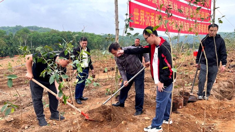 海南澄迈检察院积极参加2026年全民义务植树节活动