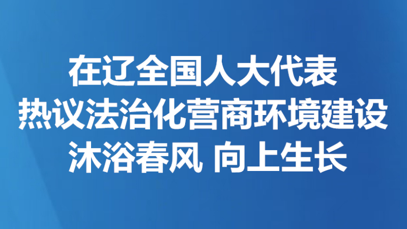在辽全国人大代表热议法治化营商环境建设 沐浴春风 向上生长