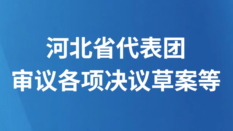 河北省代表团审议各项决议草案等