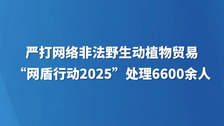 严打网络非法野生动植物贸易 “网盾行动2025”处理6600余人
