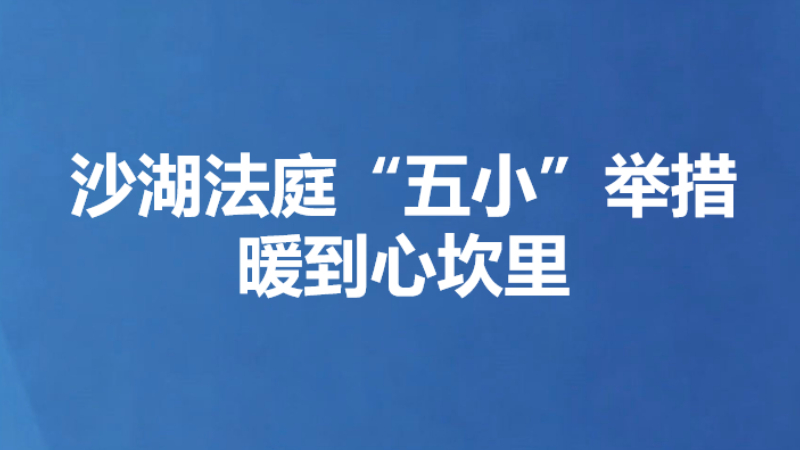 沙湖法庭“五小”举措暖到心坎里