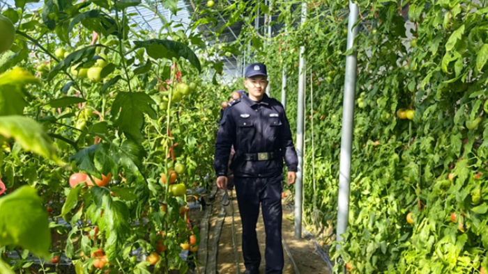 民警深学笃行下基层 实干护航平安惠民生