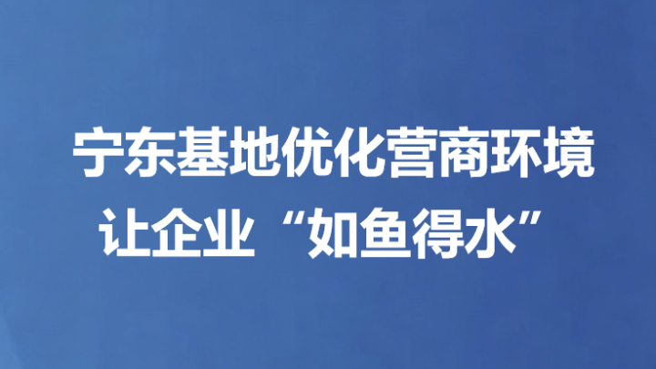 宁东基地优化营商环境让企业“如鱼得水”