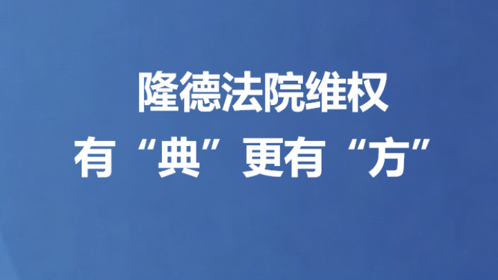 隆德法院维权有“典”更有“方”