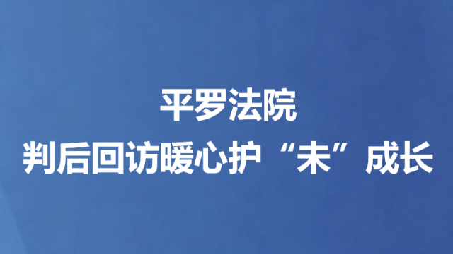 平罗法院判后回访暖心护“未”成长