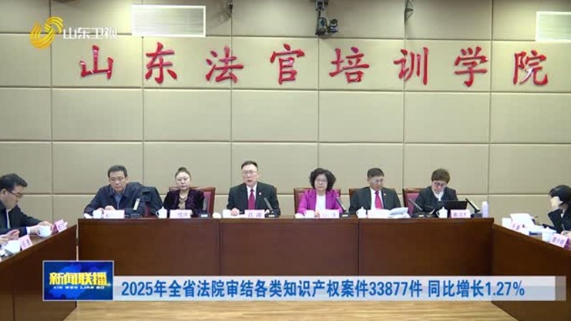 2025年全省法院审结各类知识产权案件33877件 同比增长1.27%