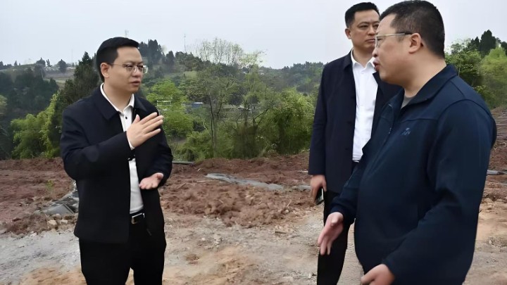 四川省内江市市中区委主要领导率队调研国家储备林项目建设及森林防灭火工作