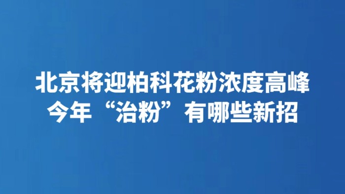 北京将迎柏科花粉浓度高峰 今年“治粉”有哪些新招