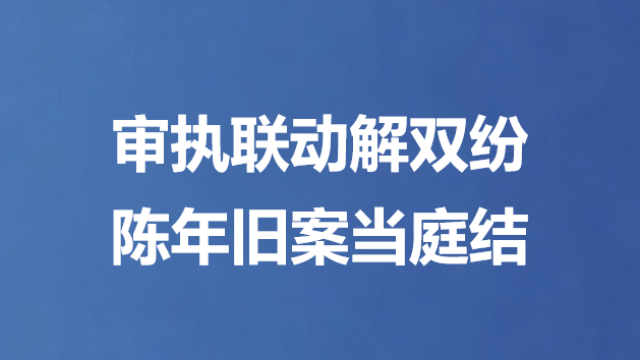 审执联动解双纷 陈年旧案当庭结