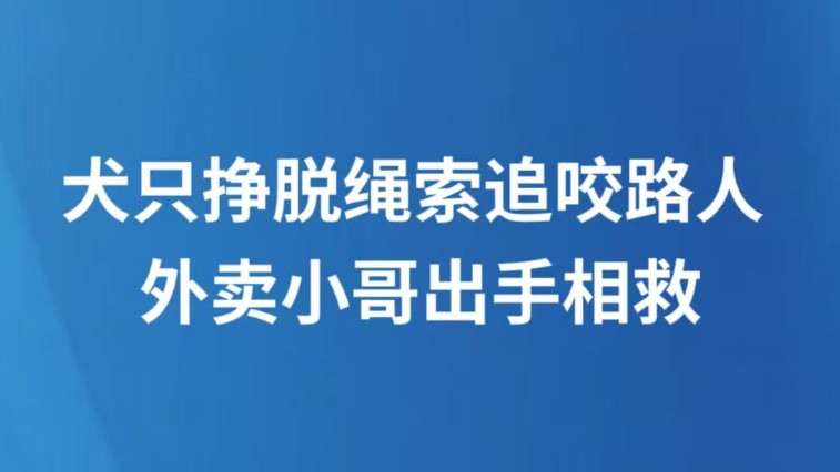 犬只挣脱绳索追咬路人 外卖小哥出手相救