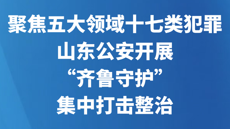 聚焦五大领域十七类犯罪，山东公安开展“齐鲁守护”集中打击整治