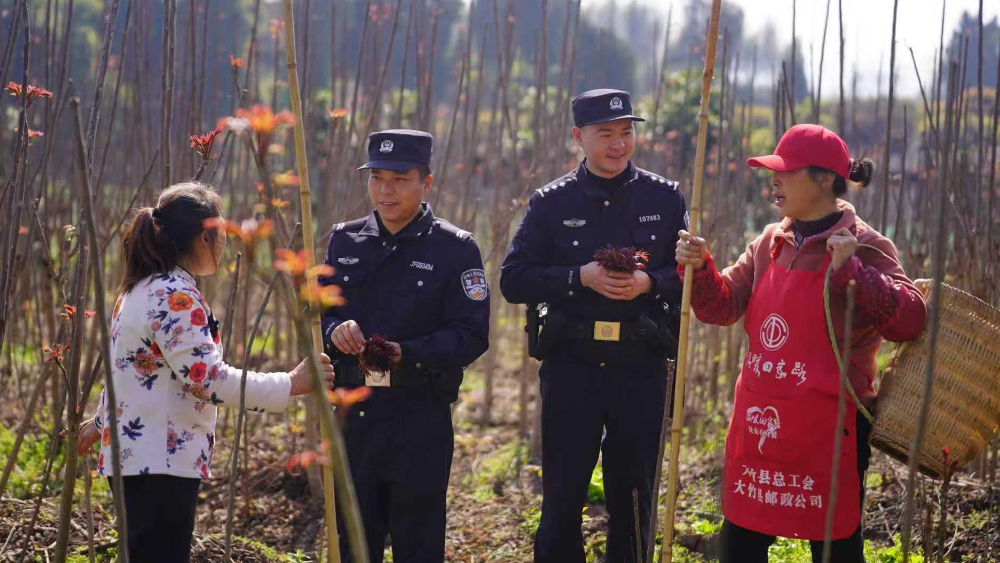 “椿”意盎然处 四川大竹公安警蓝护“金叶”