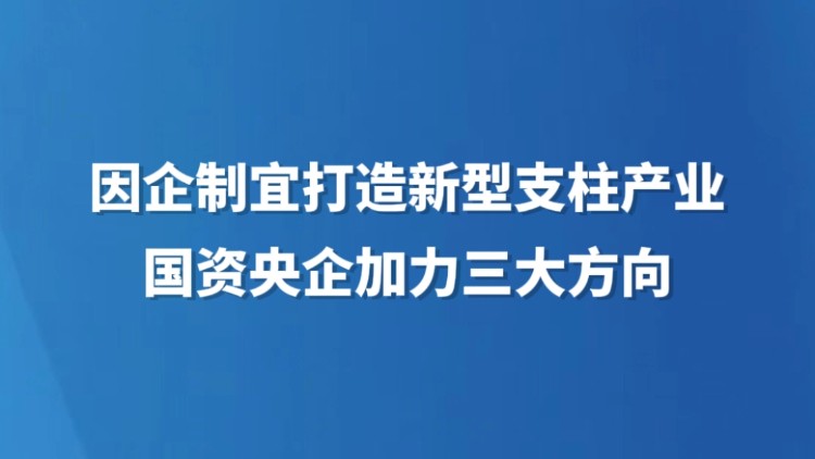 因企制宜打造新兴支柱产业 国资央企加力三大方向