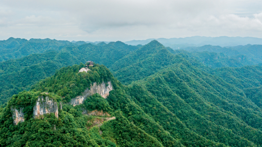 法治铸盾守护桃源松涛