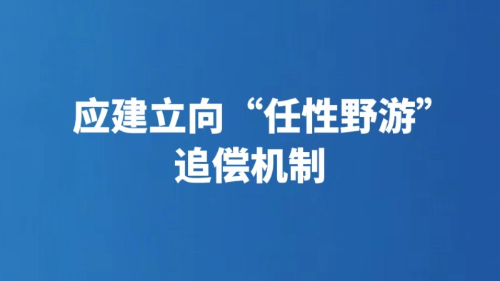 应建立向“任性野游”追偿机制