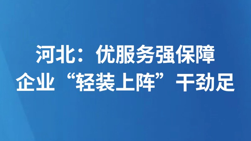 河北：优服务强保障 企业“轻装上阵”干劲足