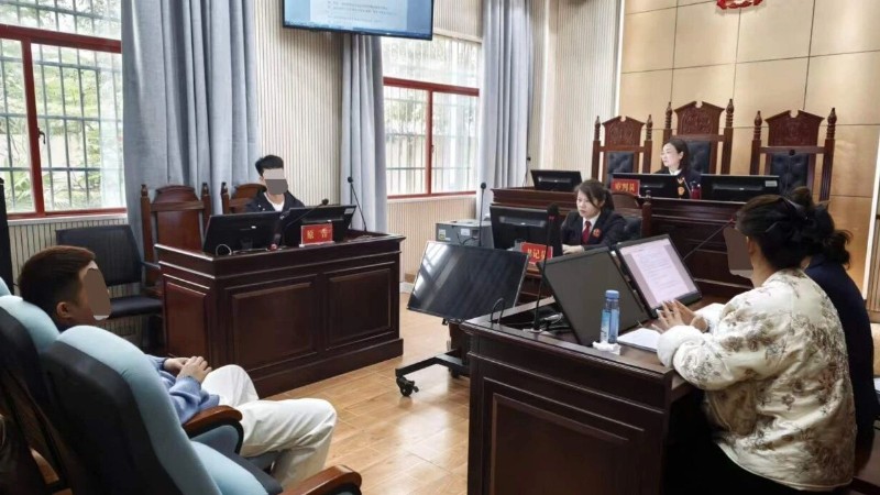 海南省儋州市法院雅星法庭调解办结一起探望权纠纷案件