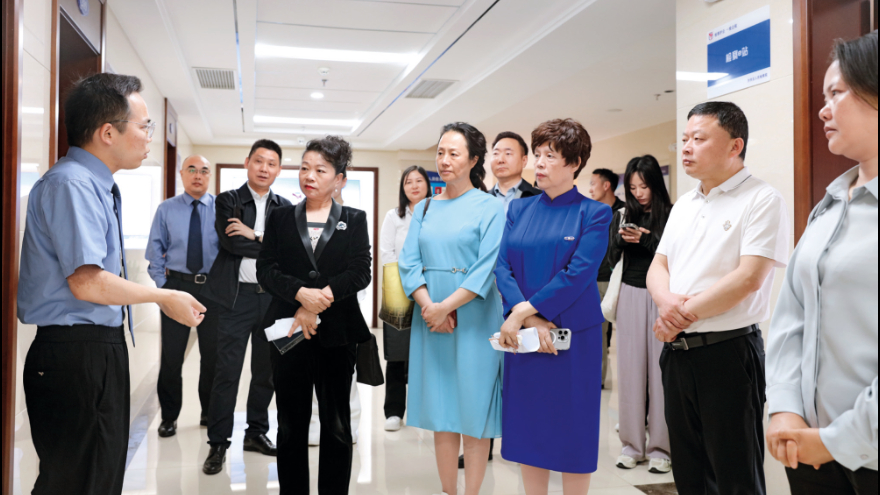 “检察蓝”浸润沙市法治营商沃土