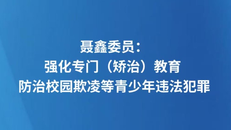 聂鑫委员：强化专门（矫治）教育 防治校园欺凌等青少年违法犯罪