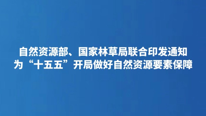 为“十五五”开局做好自然资源要素保障