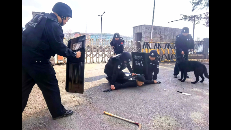 吉林省长白县长白镇边境检查站：以练为战砺精兵 筑牢防线保平安
