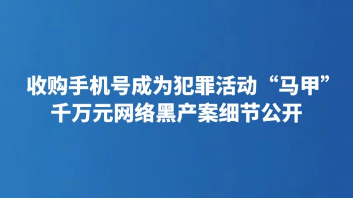收购手机号成为犯罪活动“马甲” 千万元网络黑产案细节公开