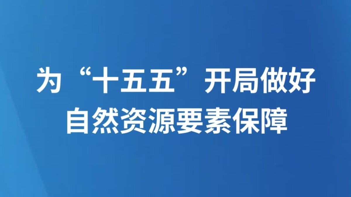 为“十五五”开局做好自然资源要素保障