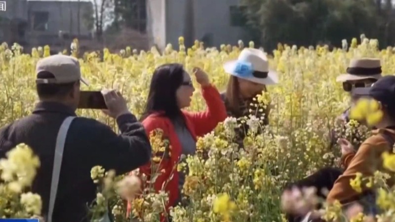 游客在哪儿被坑就可以在哪儿投诉