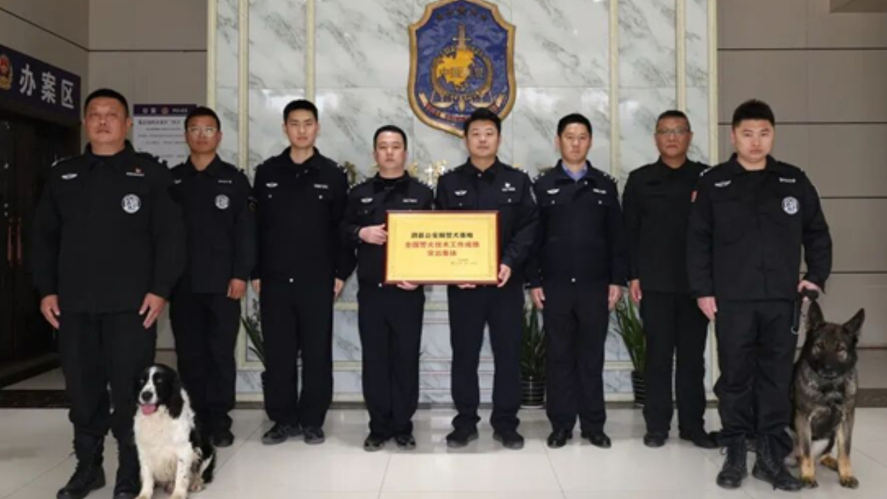 安徽泗县公安警犬队获国家级荣誉