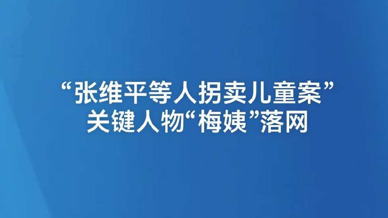 “张维平等人拐卖儿童案”关键人物“梅姨”落网