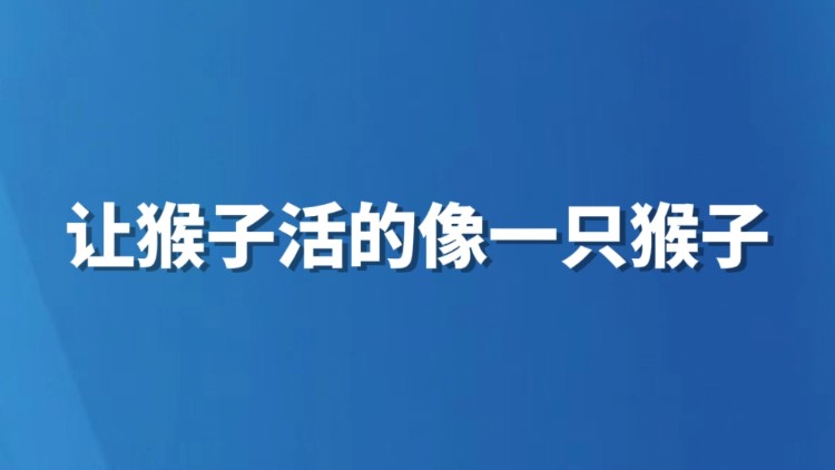 让猴子活得像一只猴子