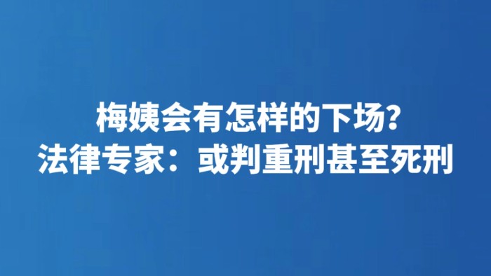 梅姨会有怎样的下场？法律专家：或判重刑甚至死刑
