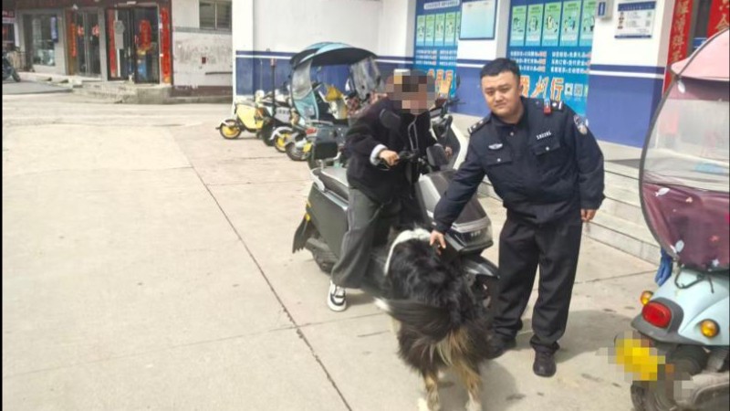 河南省南阳市桐柏县公安局：昼夜奔忙为百姓 平凡警事显担当
