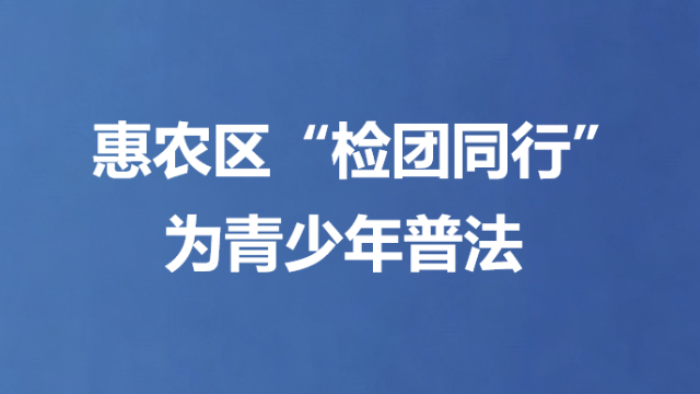 惠农区“检团同行”为青少年普法