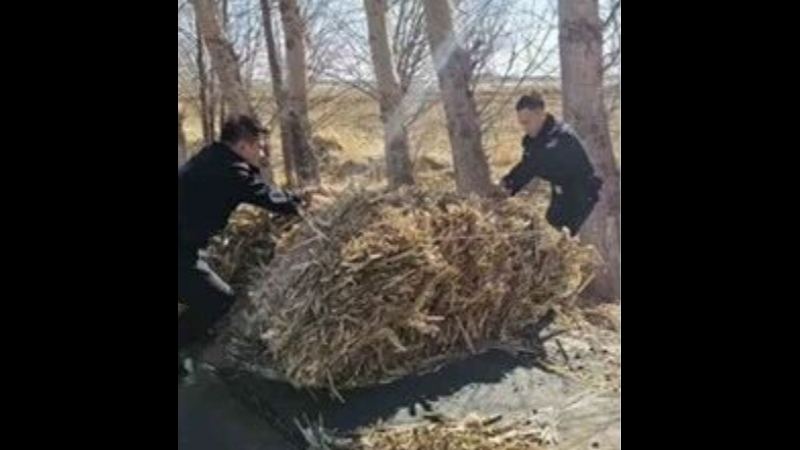 吉林前郭公安浩特芒哈派出所：巡逻途中除隐患 民警变身“清障工”守护乡村路