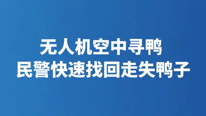 无人机空中寻鸭 民警快速找回走失鸭子