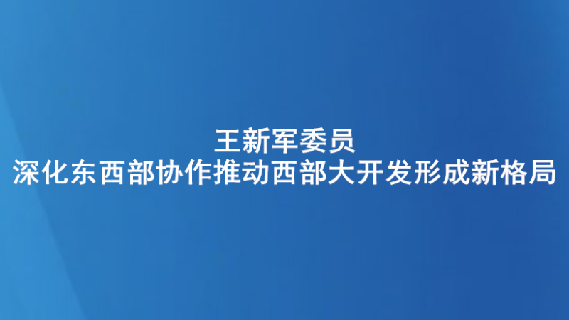 王新军委员：深化东西部协作推动西部大开发形成新格局