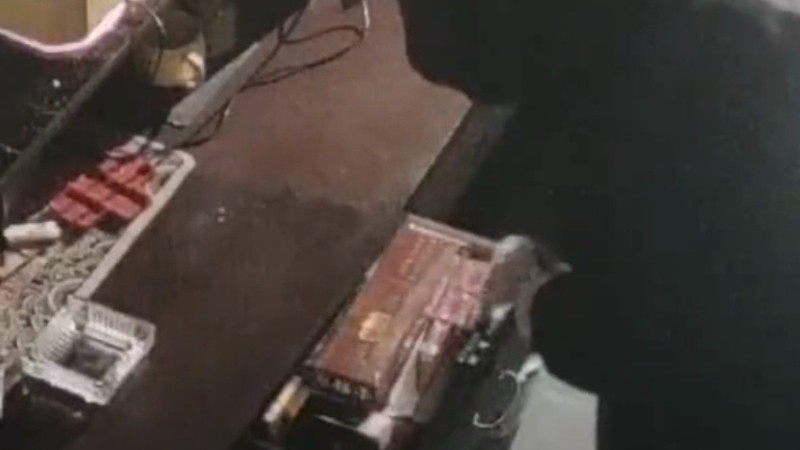 女子模仿谍战剧伪装盗窃，当天下午光速落网