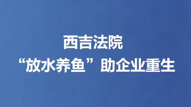 西吉法院“放水养鱼”助企业重生