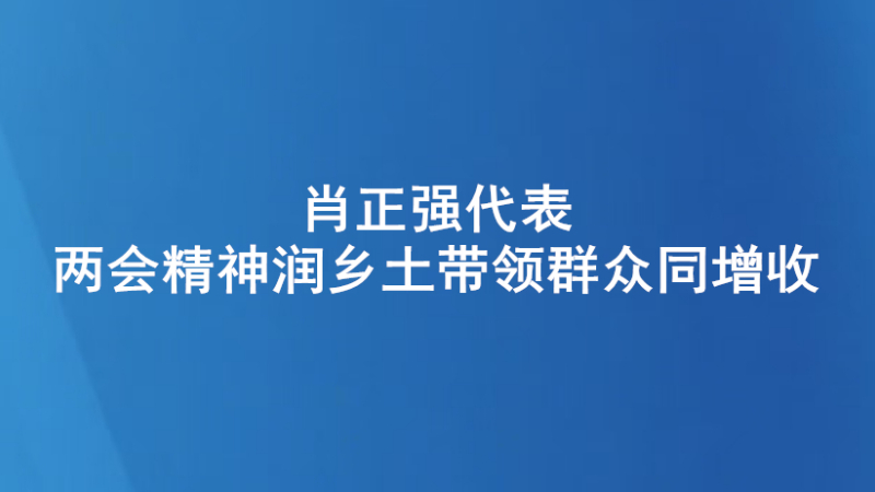 肖正强代表：两会精神润乡土带领群众同增收
