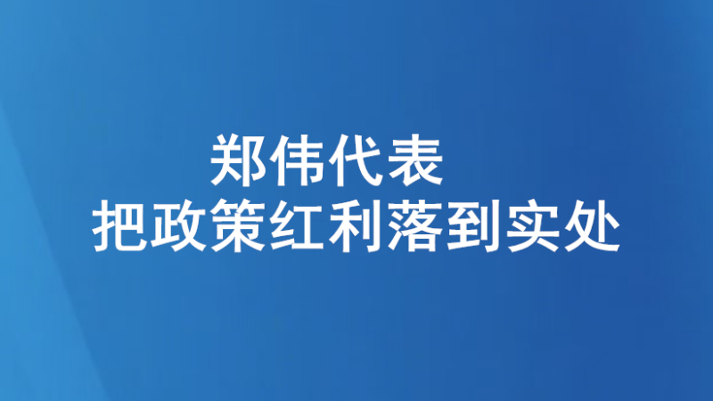 郑伟代表：把政策红利落到实处