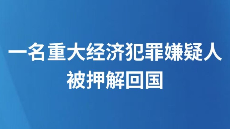 一名重大经济犯罪嫌疑人被押解回国