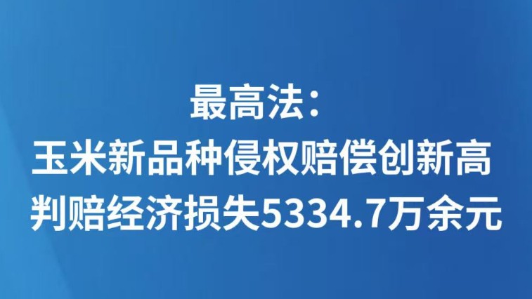 最高法：玉米新品种侵权赔偿创新高 判赔经济损失5334.7万余元