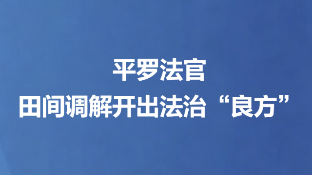平罗法官田间调解开出法治“良方”